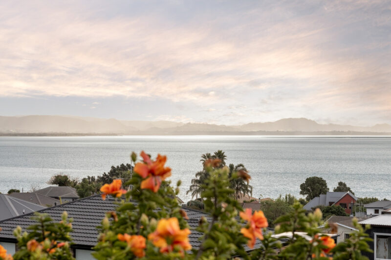 A Home with Heart and Horizon