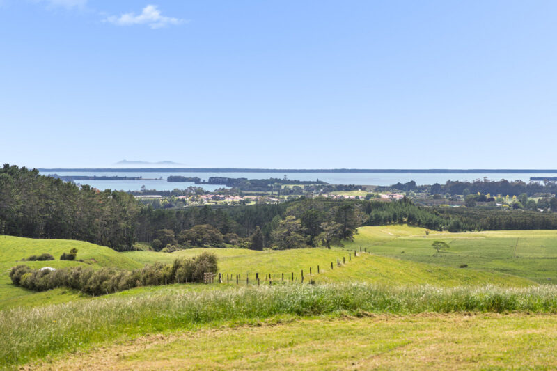 Elevated Section – Harbour & Kaimai Views