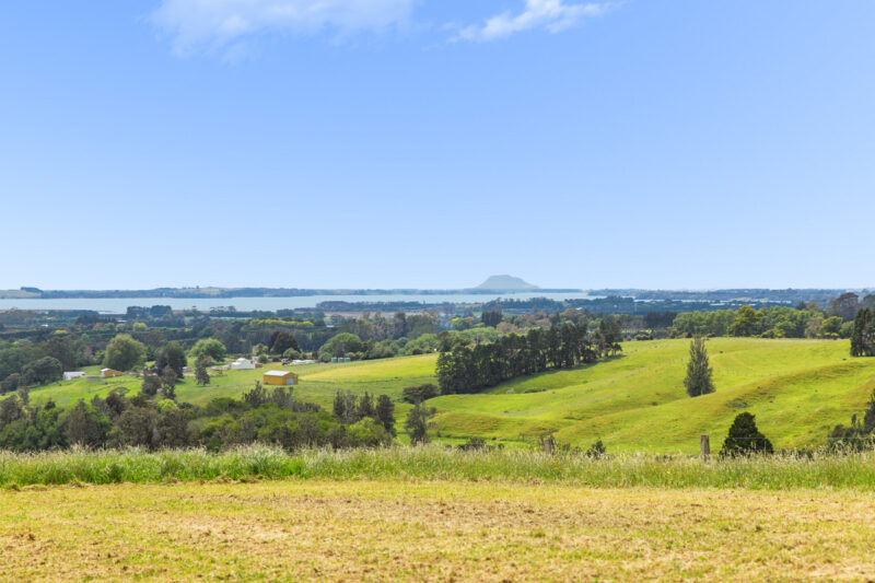 Elevated Section – Harbour & Kaimai Views