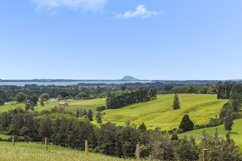 Elevated Section – Harbour & Kaimai Views
