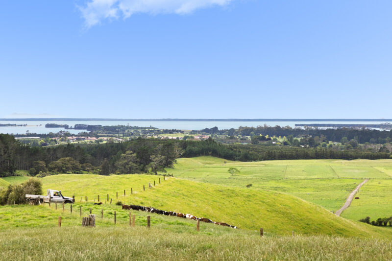 Rare Opportunity: Harbour + Rural Outlook